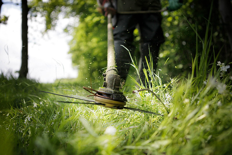 Articoli per taglio alberi